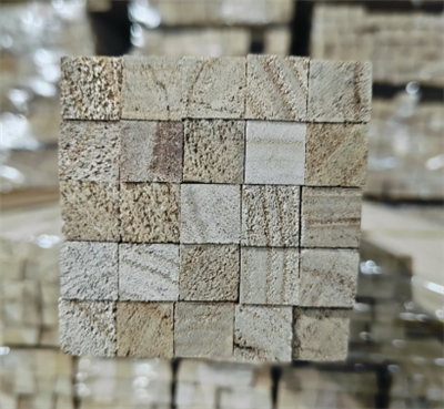 Paulownia vierkanthout